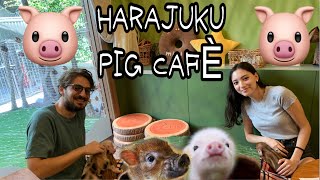 HARAJUKU PIG CAFÉ