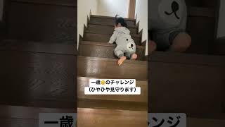 一人で階段を降りる赤ちゃん【1歳3ヶ月】