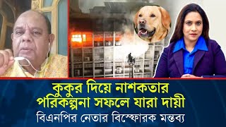 কুকুর দিয়ে নাশ*কতার পরিকল্পনা সফলে যারা দায়ী, বিএনপির নেতার বিস্ফোরক মন্তব্য