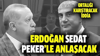 Erdoğan Sedat Peker'le anlaşacak! AKP'li eski vekilden ortalığı karıştıracak iddia!