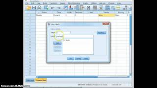 Point Biserial Data Input