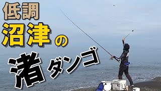 【黒鯛釣り】沼津の渚ダンゴで余裕だと思ったら痛い目をみました【紀州釣り】【永易流】