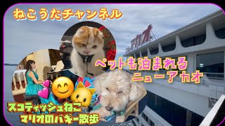 ペットも泊まれるホテル❤️熱海のアカオホテル､ねこのマリオ君よりおすすめです♪