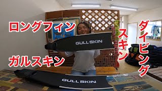 GULLカーボンスキン・ディーズパルス沖縄