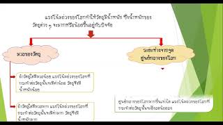 แรงดึงดูดของโลกกับน้ำหนักของวัตถุ ป.4 วิทย์ครูบี