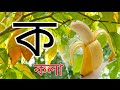 Bangla Banjonborno | বাংলা ব্যঞ্জনবর্ণ ক খ গ ঘ | Bangla Bornomala | ছন্দে ছন্দে ব্যঞ্জনবর্ণ শিখি