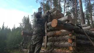 Full Video: One Year of Log Cabin Building Alone Off-Grid