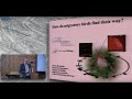 Henrik Mouritsen on How do migratory birds find their way?