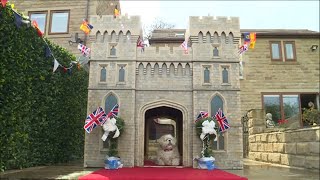 Schloss Windsor als Hundehütte