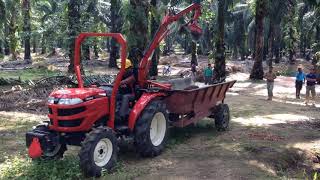 Yanmar EF393T Infield FFB Collection