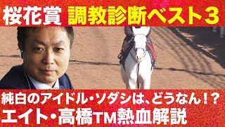 【アーモンドアイも駆け抜けた夢舞台】桜花賞を完全攻略へ！高橋賢司トラックマンの調教診断ベスト３【特別プレゼントのお知らせも】