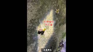 紫森林 山富生態休閒園區｜無蚊農場