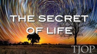 The Secret of Life - Alan Watts