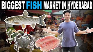 BEGUM BAZAR FISH MARKET | SEAFOOD MARKET | TALHA KHAN | @explorewith_talha |