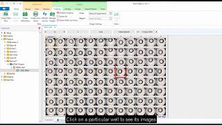 ROCK MAKER® Crystallization Software - Viewing and Scoring Drops
