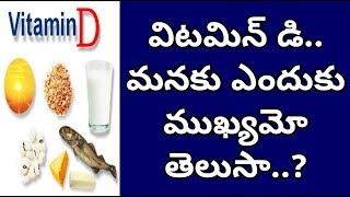 విటమిన్ డి.. మనకు ఎందుకు.. ముఖ్యమో తెలుసా.? | Why Vitamin D Is Very Importan  | Manandari Health