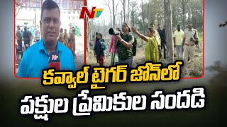 కవ్వాల్ టైగర్ జోన్‌లో అందాల పక్షుల పండుగ...  ప్రకృతి ప్రేమికుల సందడి | Ntv