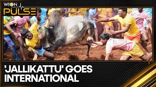 'Jallikattu' Goes Global: Sri Lanka hosts event on January 6th | WION