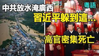 🔥🔥 南洪水北高溫❗中共央視洩密:中共放水淹廣西 街道淹2公尺 43萬人受災❗習近平躲到這...高官密集死亡❗