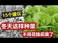 全面概括冬天种菜的15个建议🔑没有种不出来的菜只有不想种的菜 15 Tips to grow vegetables in cold winter successfully