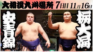 大相撲　安青錦ー栃大海＜令和６年九州場所・７日目＞SUMO