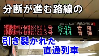 奥多摩に行かなくなったあのホリデー快速の現状を確かめてみましょう