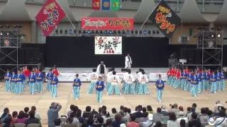 あっぱれ青組 さん　2016　YOSAKOI かすや祭り