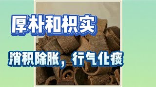 【中药讲解】 理气药厚朴和枳实，厚朴性温除胀满，枳实性寒破气消积