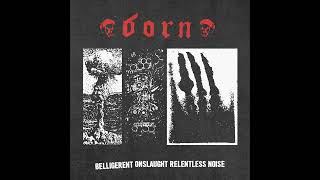 B.O.R.N. - Belligerent Onslaught Relentless Noise (2023)