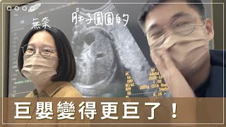 【懷孕32週】巨嬰變得更巨了！產檢在檢查什麼？孕婦可以坐機車嗎？