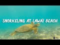 The best snorkeling at Lawa'i Beach on the south side of Kauai, Hawaii