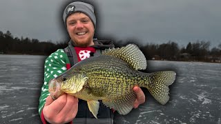 ICE Fishing for GIANT Slab Crappies in Wisconsin!