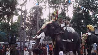 പുത്തൻകുളം അർജുനൻ | Puthenkulam Arjunan (late)| Sree Janardhana Swamy Aarattu 2012 #aana #elephant