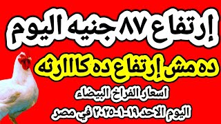 اسعار الفراخ البيضاء اليوم/ سعر الفراخ البيضاء اليوم الاحد ١٩-١-٢٠٢٥ في مصر جمله وقطاعي