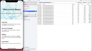 Networking with Flipper React Native