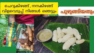 ഈ വിളവെടുപ്പ് നിങ്ങളെ ഞെട്ടിക്കും 😲 / Lesser Yam Harvest  Malayalam. and it'srecipe .#cherukizhangu