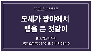 [화미교회] 25.02.21 금요기도회 설교 | 모세가 광야에서 뱀을 든 것 같이 | 요 3:10-16, 민 21:4-9 | 박성학 목사