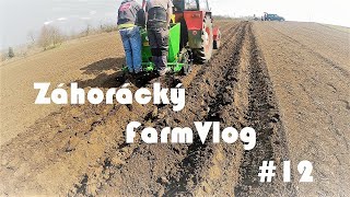 Záhorácký FarmVlog #12/Sadenie zemiakov + najmladší pomocník :))