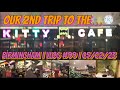 Our 2nd trip to the KITTY CAFE Birmingham | VLOG #99 05/02/22