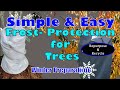 Simple & Easy Frost Protection For Trees Winter Preparation