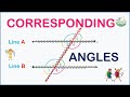 How fast can you identify the corresponding angles?