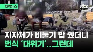 [자막뉴스] 지자체가 밥 줬더니 비둘기 번식 '대위기'…그런데 여론이 / JTBC News