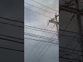 high voltage lines blast shortsfeed electric technology ytshorts funny