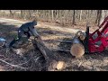 No Nonsense Guide to Felling Dead Trees
