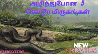 அழிந்துபோன 5 கொடூர மிருகங்கள்   5 extinct animals in the world   NEW UPDATES LK