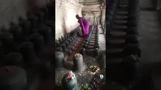 There are  100 to 1000 lingams in the  Brihadisvara Temple