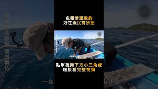 上千塊的魚獲跑了，小漁民卻越挫越勇壹秒找回場子，爽！#shorts