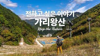 전하고 싶은 가리왕산 이야기 - 평창동계올림픽 이후의 모습 / KEEP THE NATURE /  백패킹 캠핑 브이로그 / BACKPACKING CAMPING VLOG