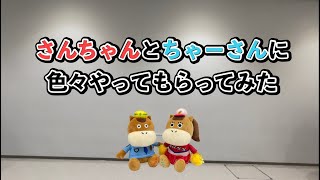 【マスコットキャラ】さんちゃんちゃーさんが色々やってみた！