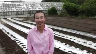 こしいしかつ子 動画市政報告-4（2012.11）